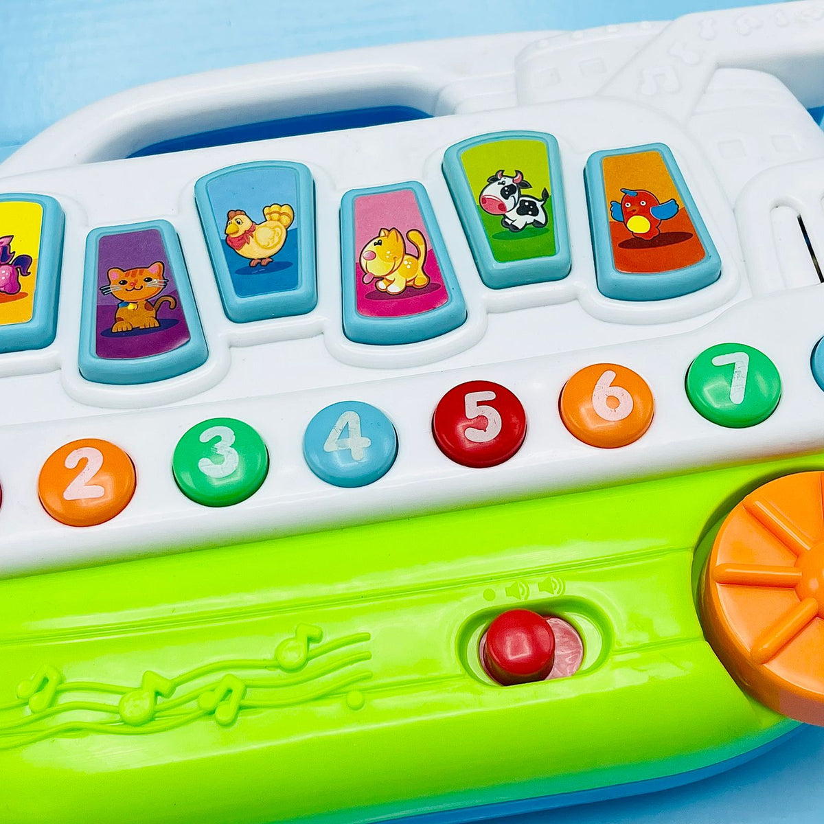 Magical Musical Educational Animal Ship