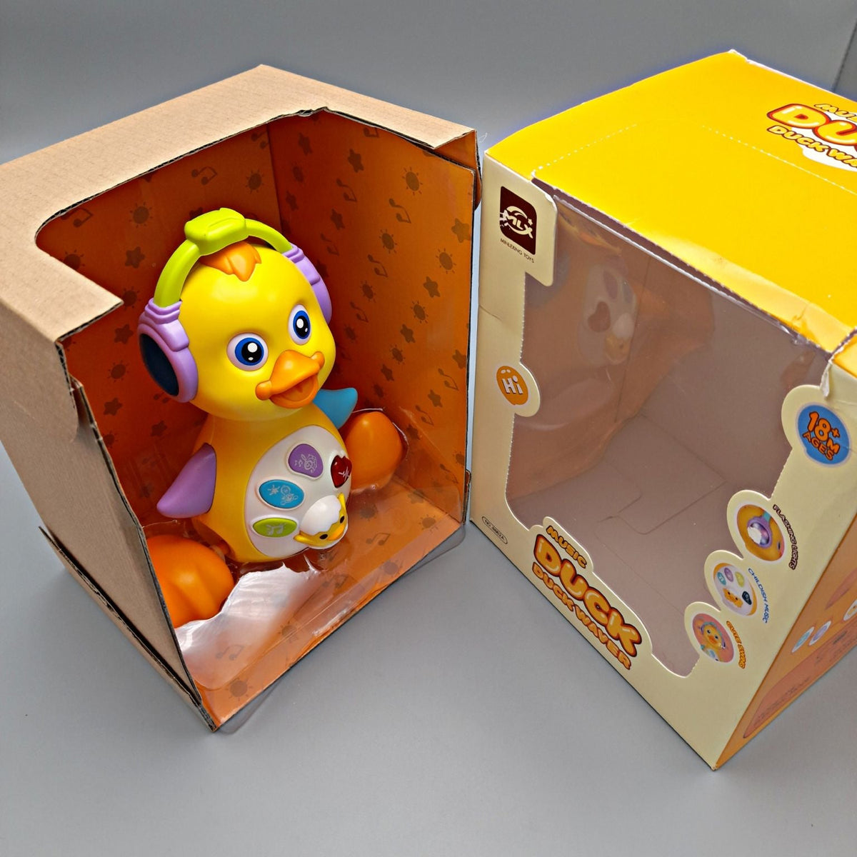 Musical Educational Duck