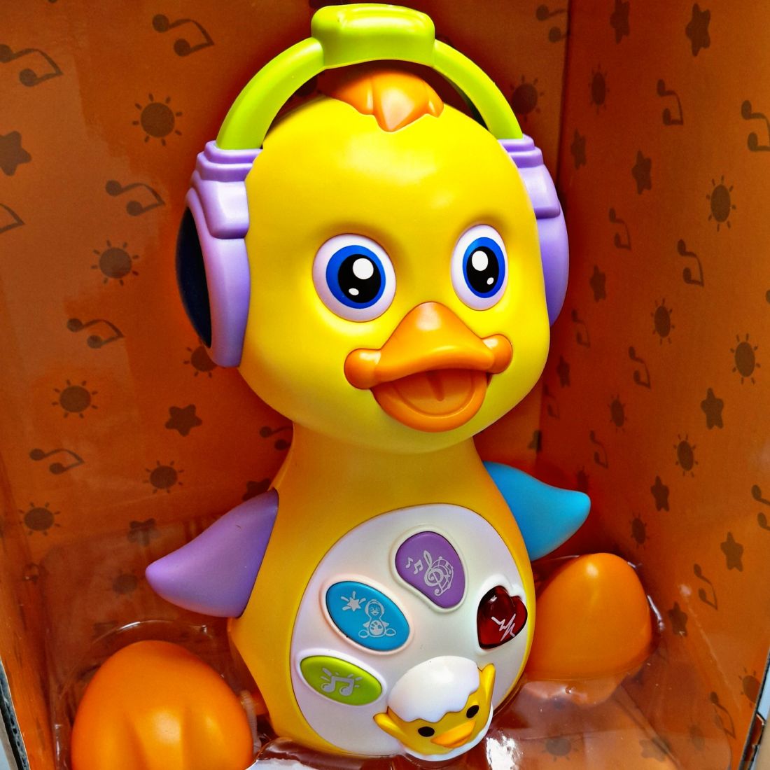 Musical Educational Duck